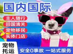 拉萨贡嘎空运国际宠物托运 【国